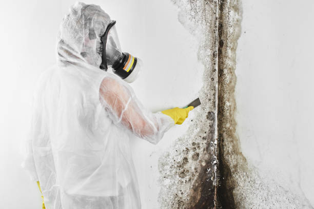 Best Professional Mold Removal  in Oakland, OK