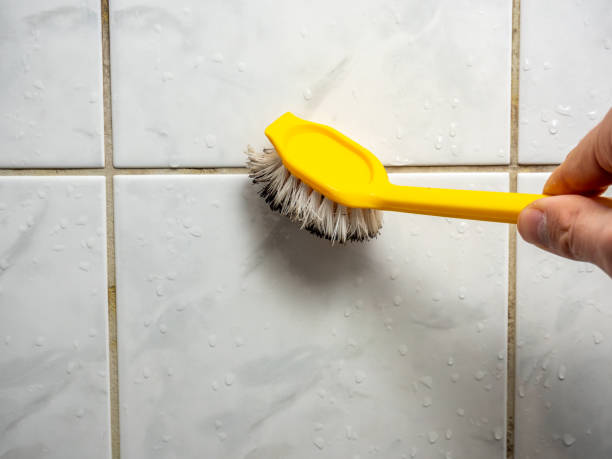 Best Mold Remediation  in Oakland, OK