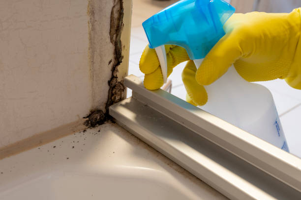 Best Office Mold Removal Services  in Oakland, OK
