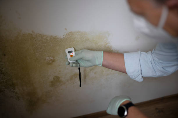 Best Water Damage Restoration  in Oakland, OK
