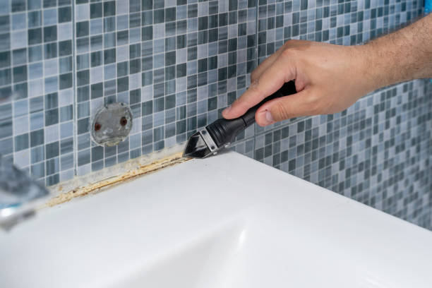 Reliable Oakland, OK Mold Removal Solutions