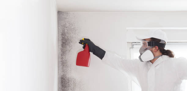 Best Crawl Space Mold Removal  in Oakland, OK