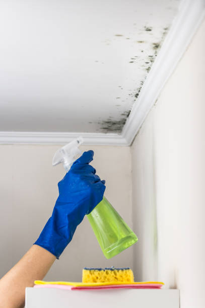 Best Certified Mold Removal  in Oakland, OK